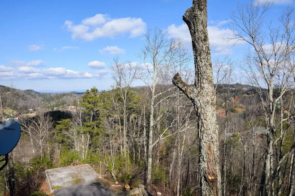 BEAR'S VIEW - 2 Br Cabin