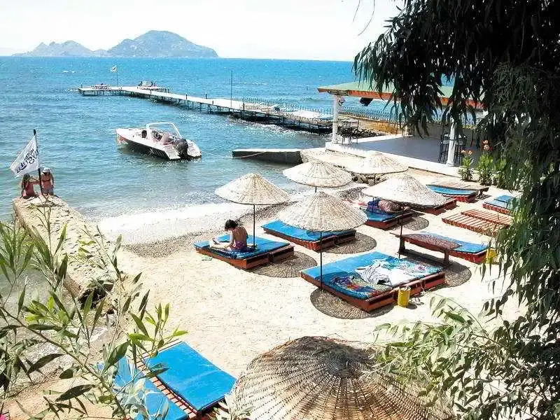 Duygulu