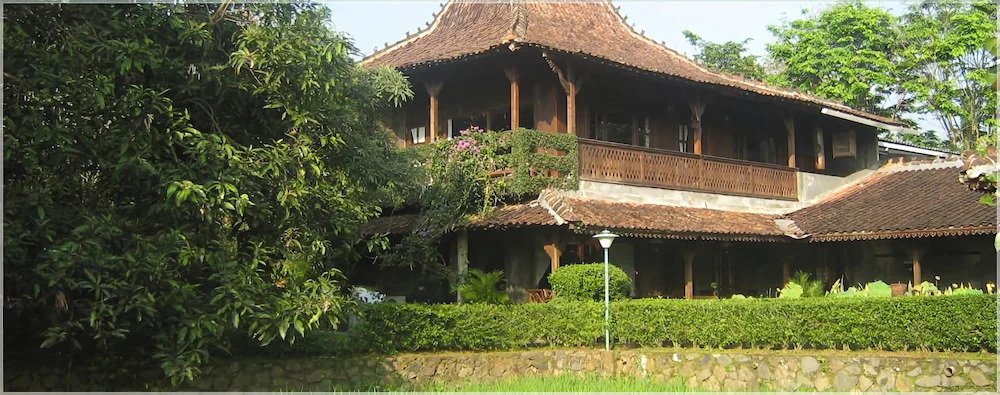 The House