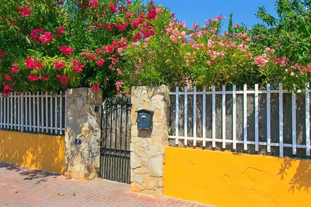 Minerva Dream Garden