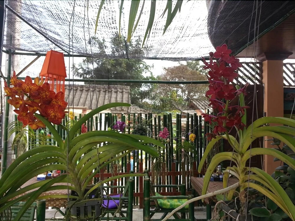 Pada Hotel