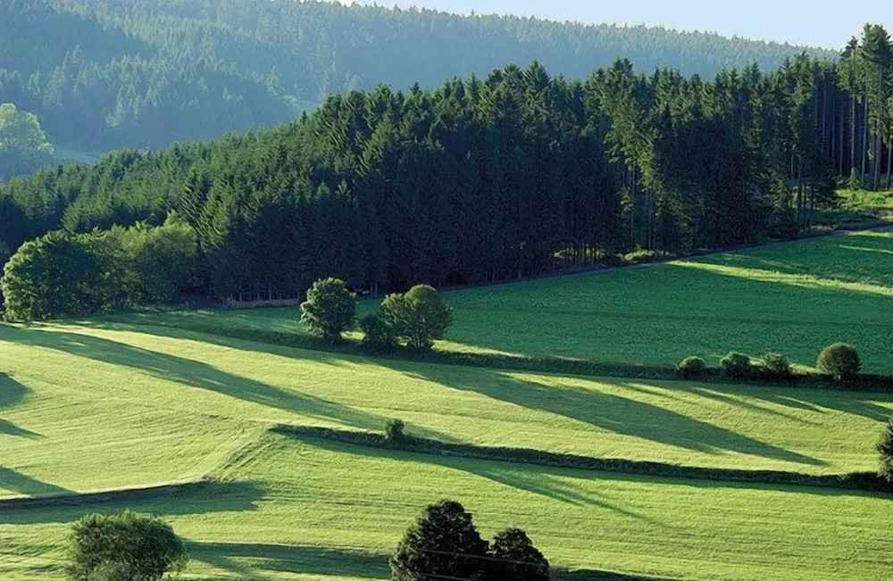 Hotel Behringers Traube
