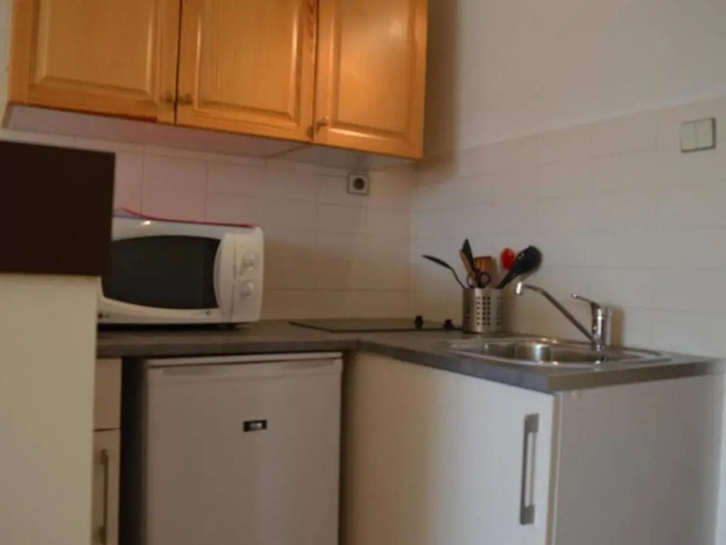 Appartement Saint-Cyprien, 1 pièce, 4 personnes - FR-1-225D-147