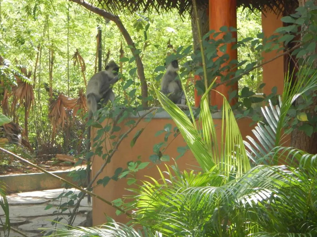 Sarada Beach Resort Yala