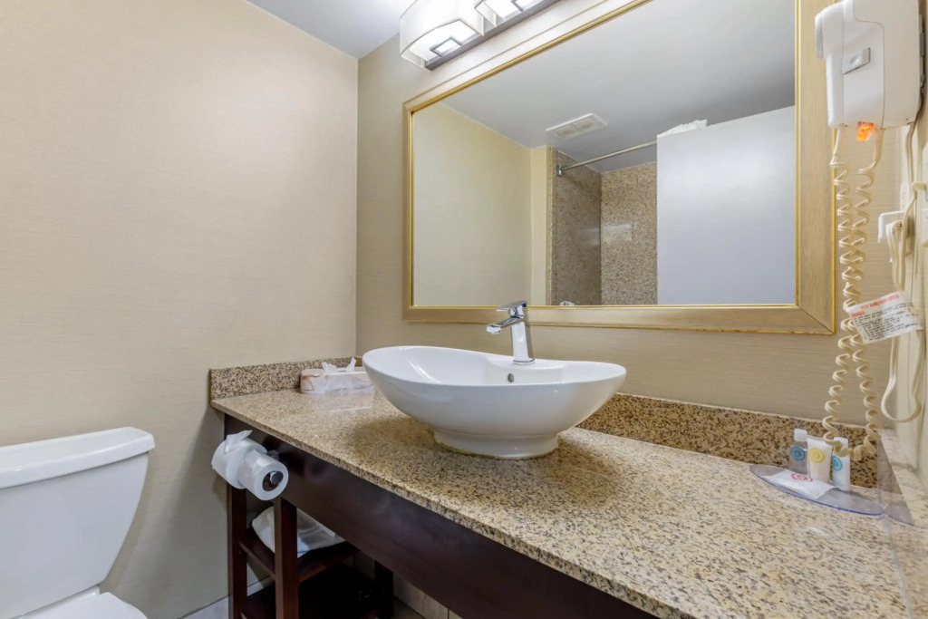 Comfort Inn Herndon-Reston