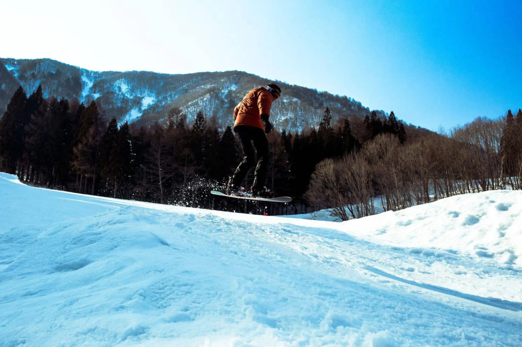 RedDoorLodge Hotel Hakuba