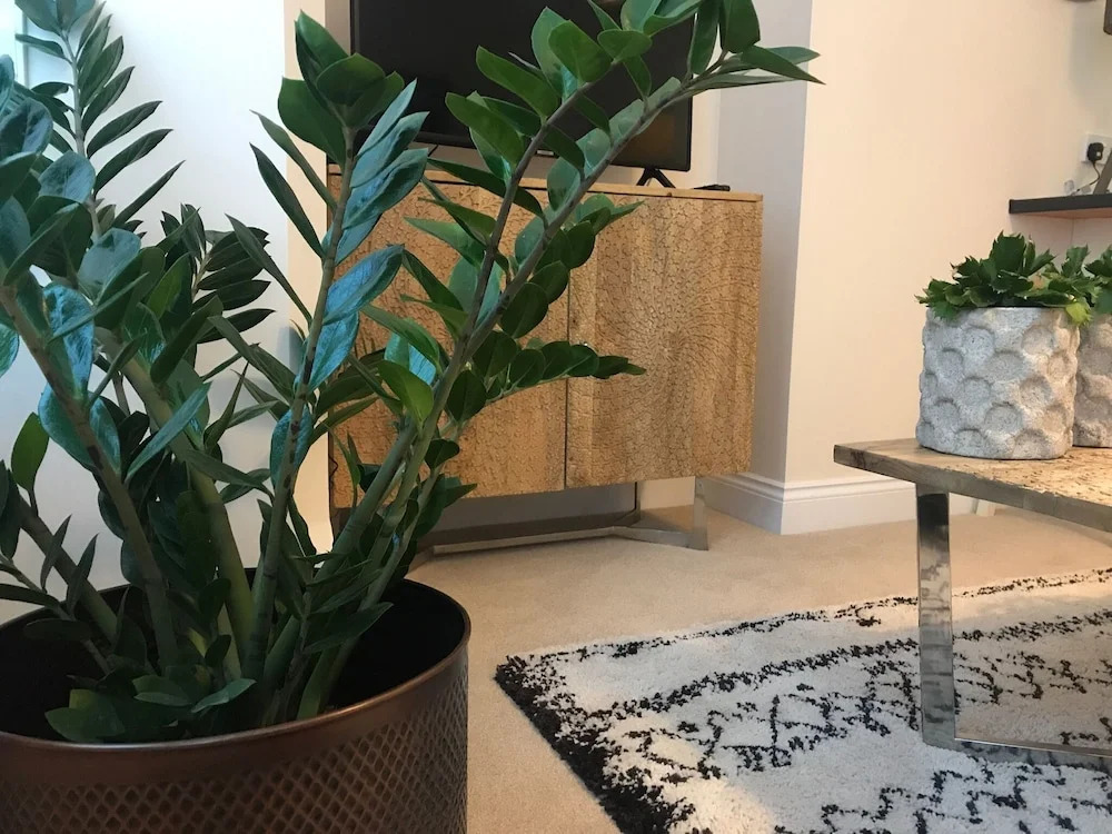 Stracey Road Apartment