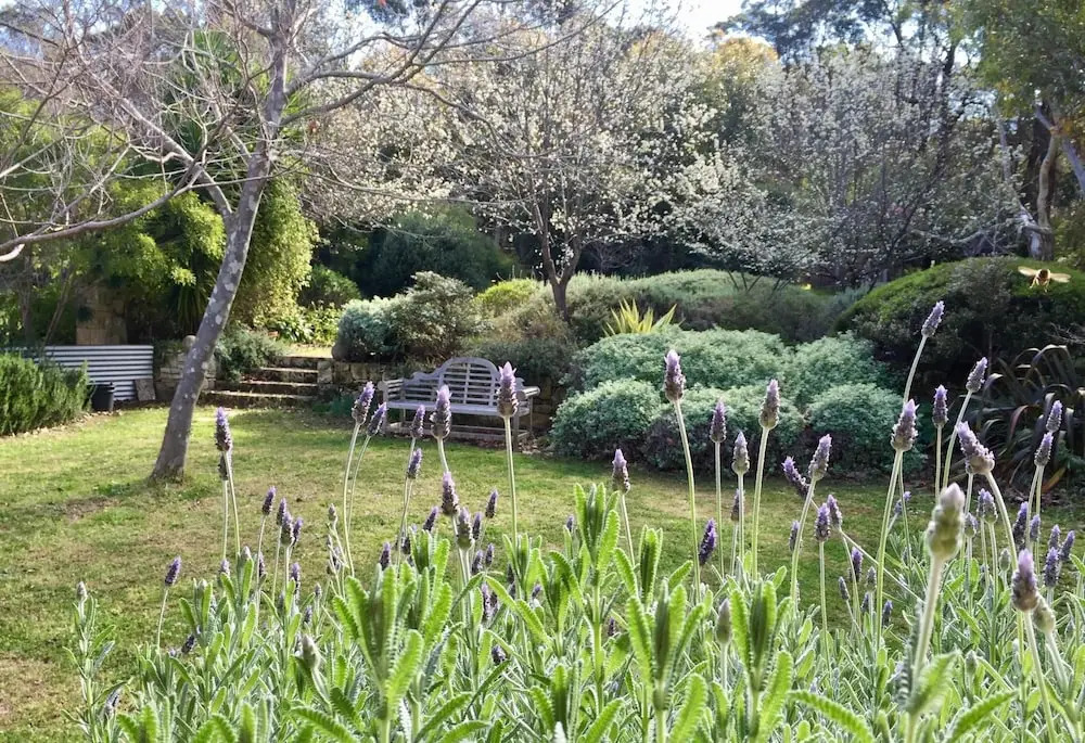 Naturescape