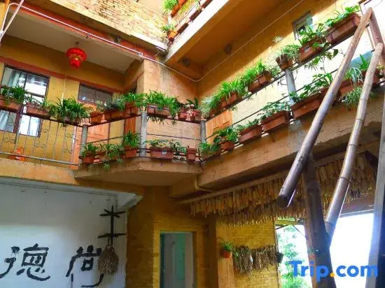 Green Hostel & Sunny Guesthouse