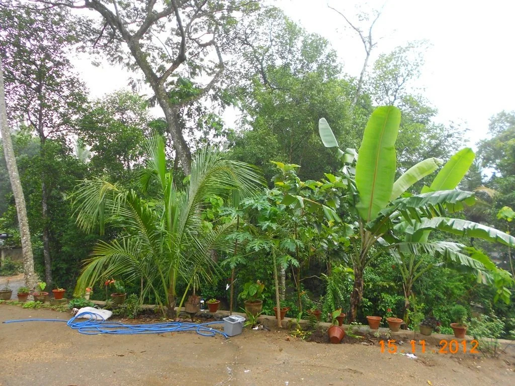 Ananda Guest House