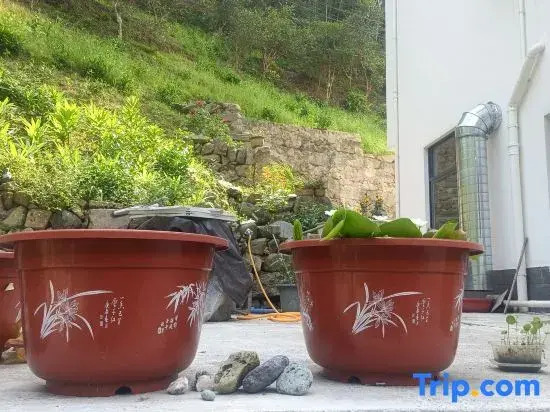 Tingxi Xiaozhu Homestay
