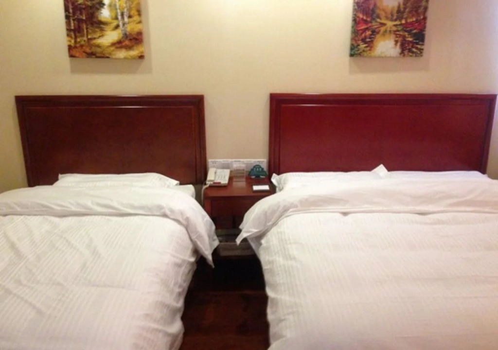 GreenTree Inn LiaoCheng LinQing HaiShan Building Express Hotel