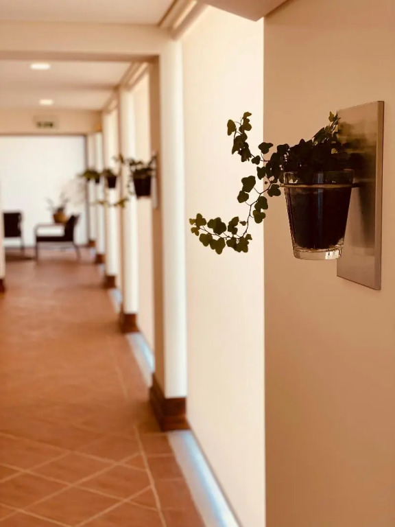 Hotel Lusitano