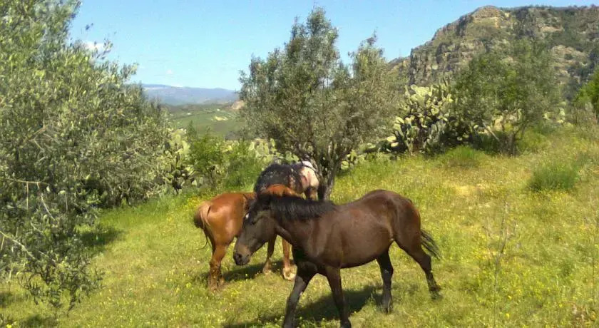 Agriturismo Armiro