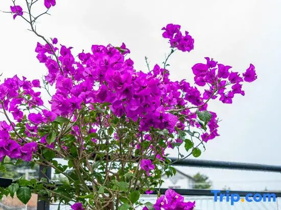 xing yu ge boutique homestay