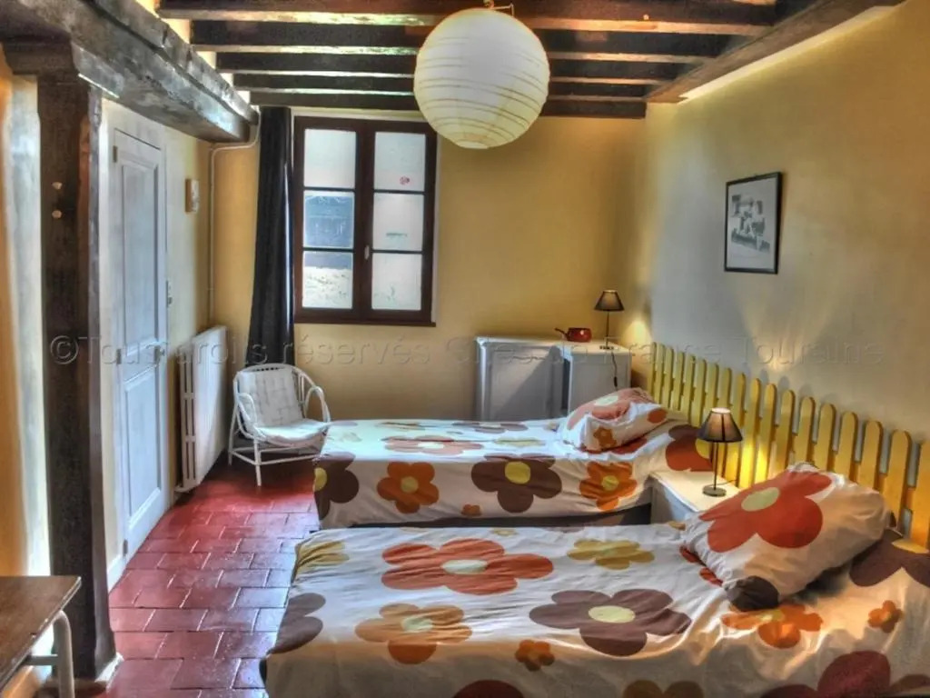 Gîte 18e avec piscine, jardin et équipements inclus, près des Châteaux de la Loire - FR-1-381-212
