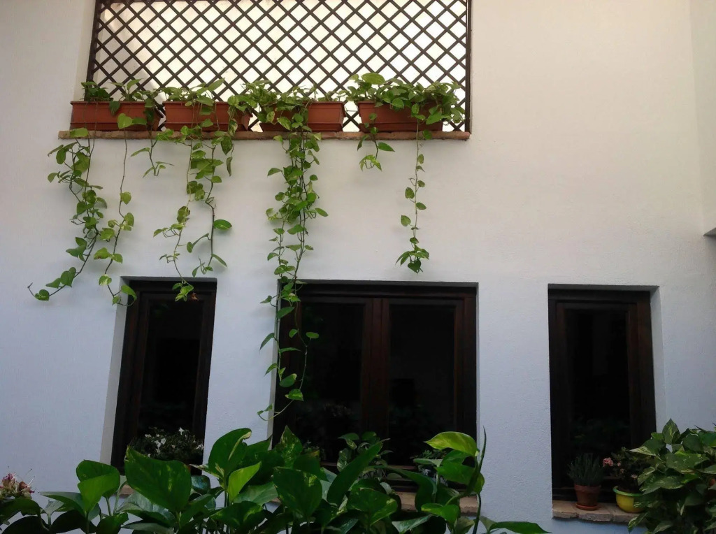 HOTEL BOUTIQUE ALMA ANDALUSí