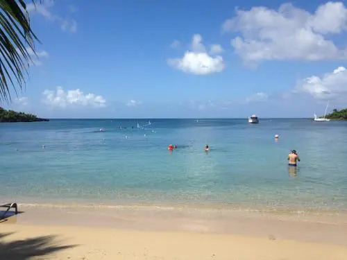 Dolphin Executive Hotels