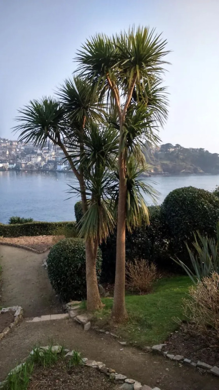 Baytree Bed and Breakfast
