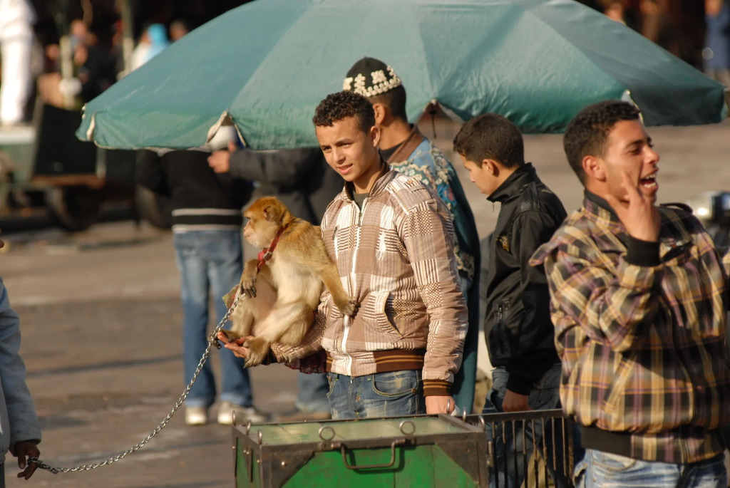 Riad Al Haram