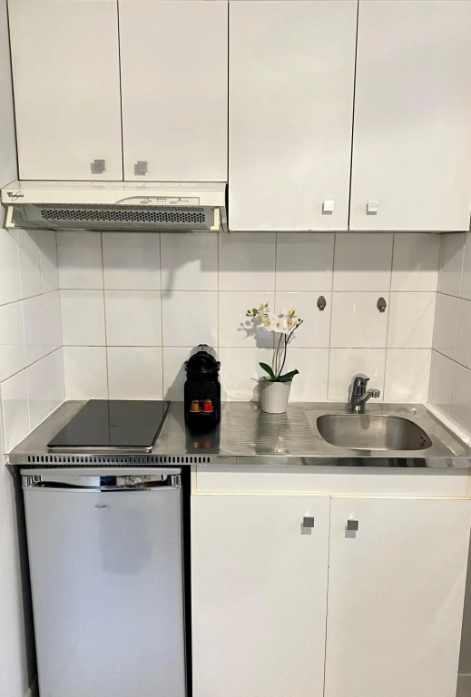 1607 - Wonderful apartment with terrace on garden