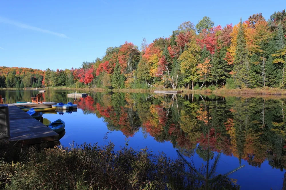 Blueberry Lake Resort