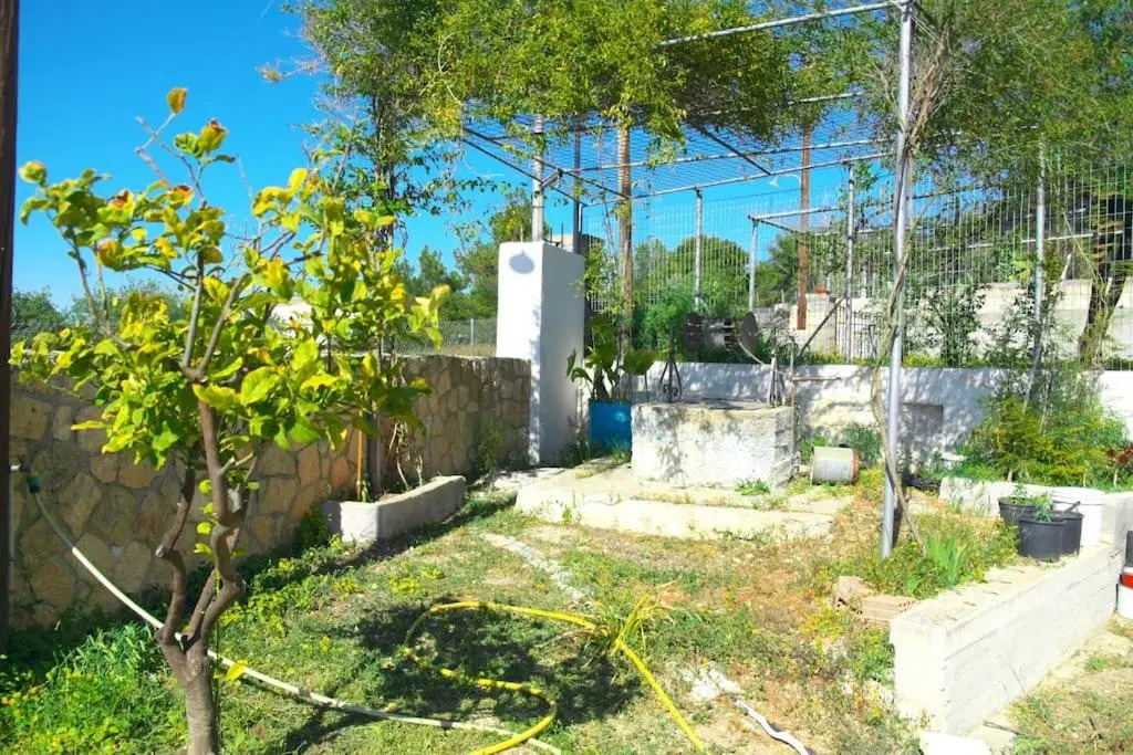 Georgia's House