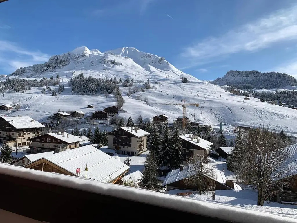 Appartement Le Grand-Bornand, 1 pièce, 4 personnes - FR-1-467-92