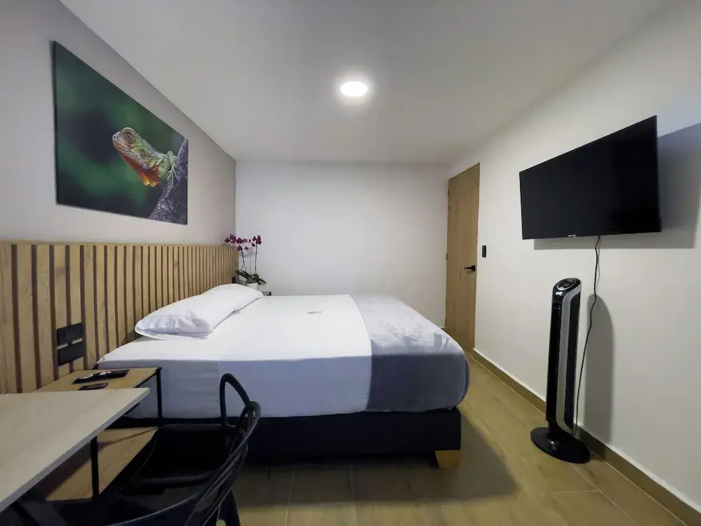 Vita Hotel Boutique - Aire Acondicionado & Desayuno