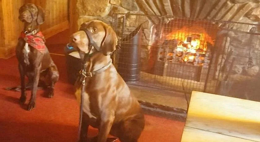 Glen Avon Hotel