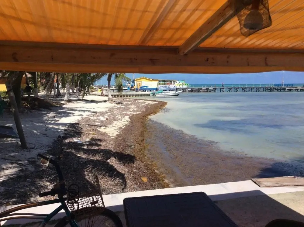 Beach Club Condos at Popeyes