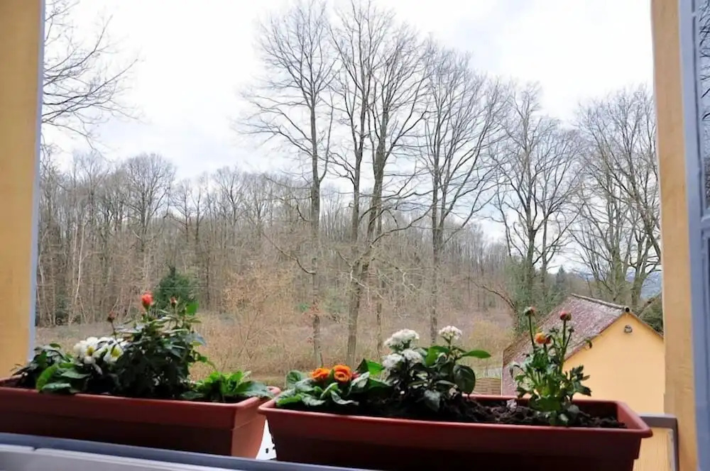 Au Jardin de Lisa