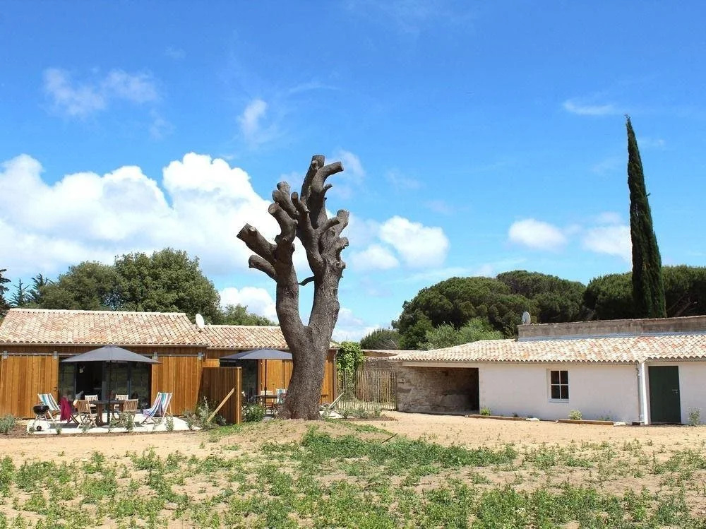 Le moulin Dangibaud
