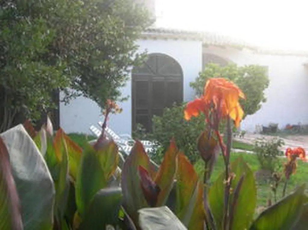 Mulino Bonacasa