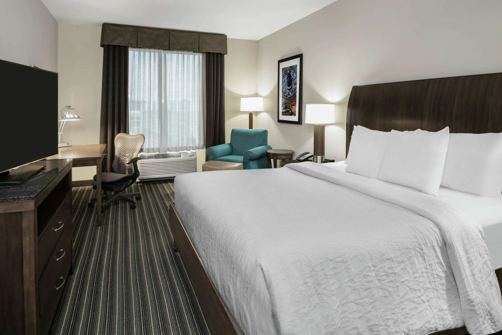 Hilton Garden Inn San Antonio At The Rim