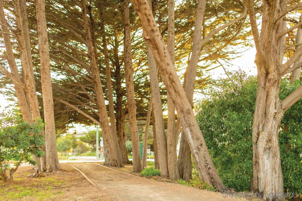 Hampton Inn Monterey