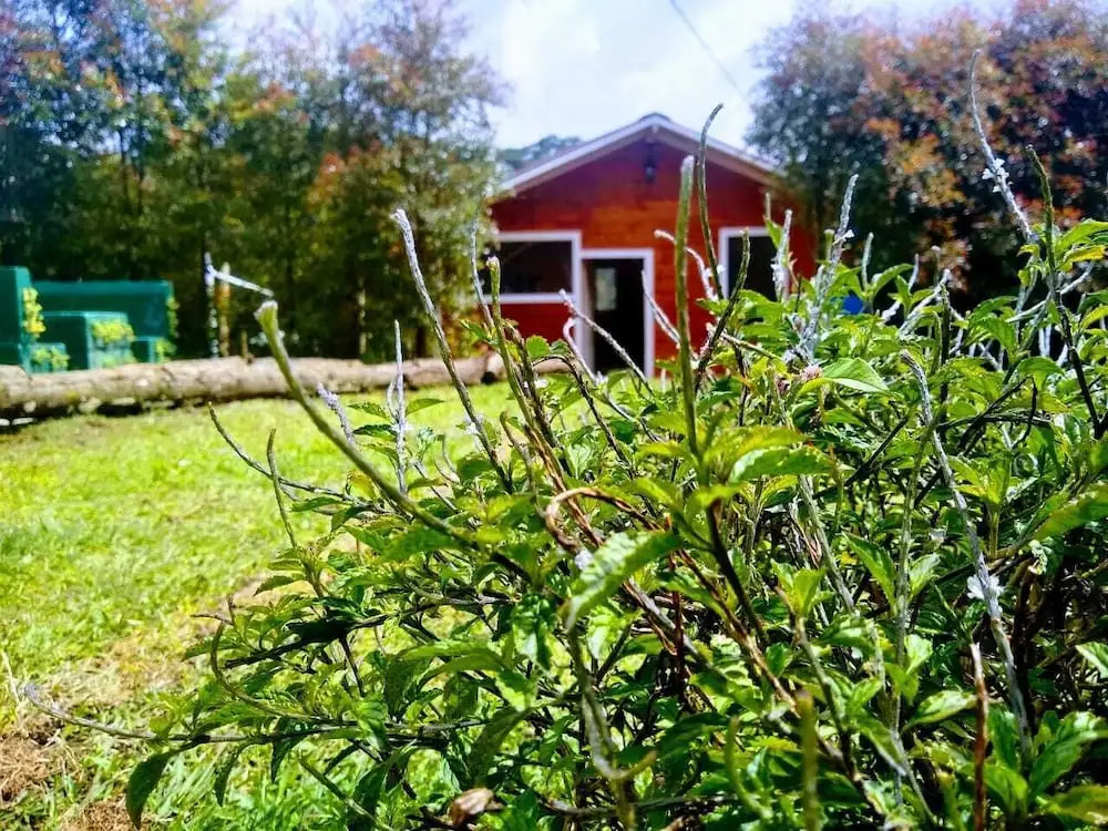 Hospedaje Santaelena -chalets de montaña