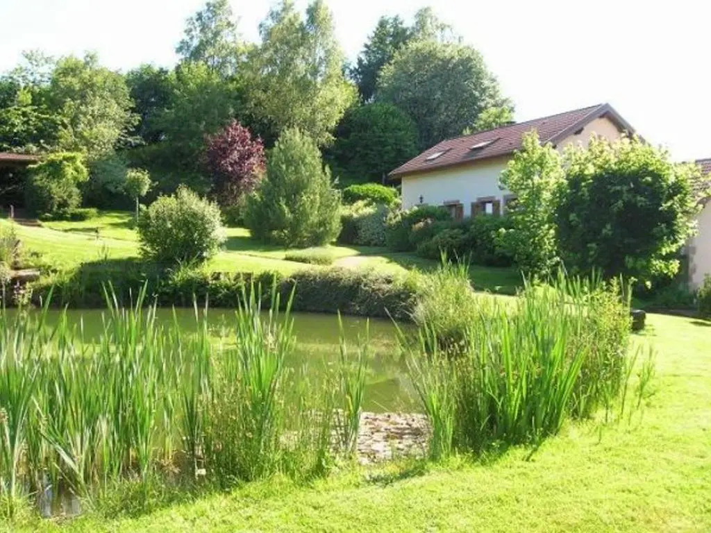 Spacieux Gîte Proche Forêt avec Sauna, Baby Foot et Activités Extérieures - À 10 min de Remiremont - FR-1-589-293