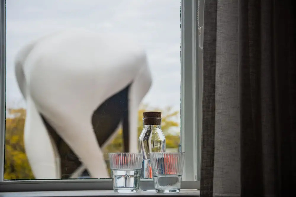 Boetiekhotel Villa Wanrooy