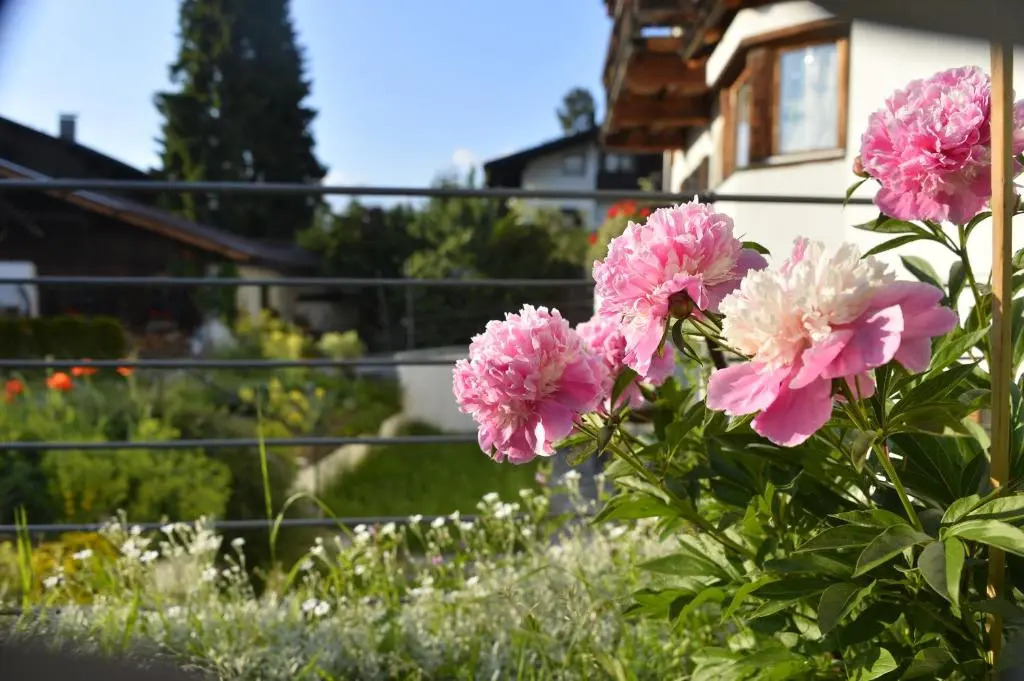 Schmiedhof