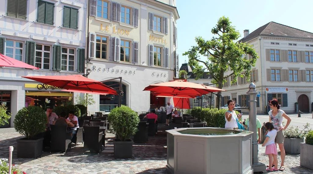Hotel Le Lion - Self Check-in