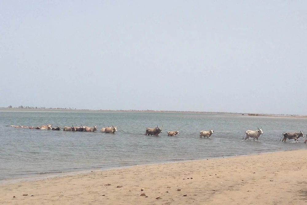 L'Ecolodge de Simal