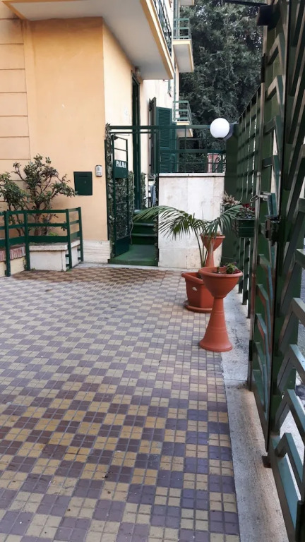 Palma