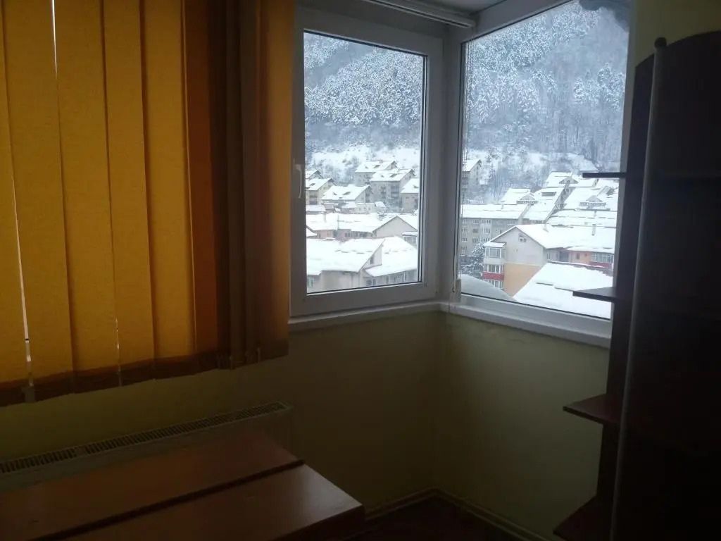 Apartament Viorea