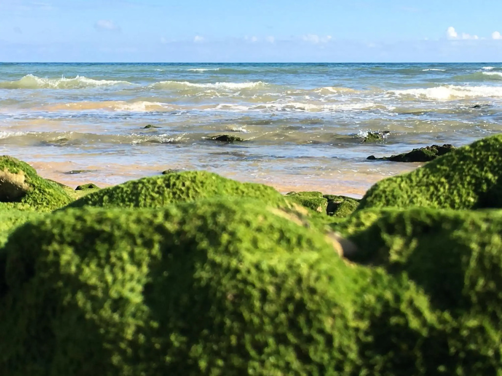 Luxurious T2 apartment, Olhos Dagua