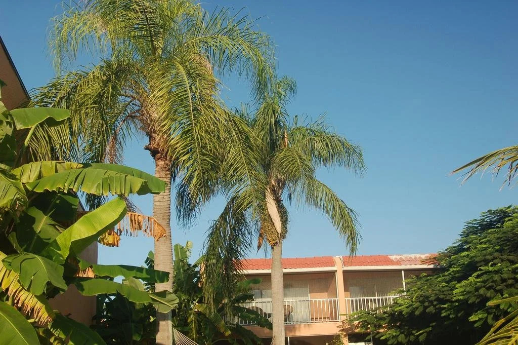 Beach Road Villas