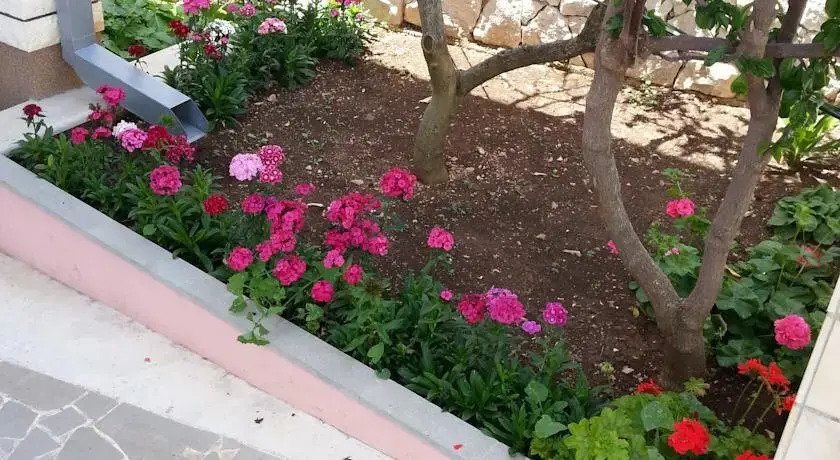 Apartment Petro