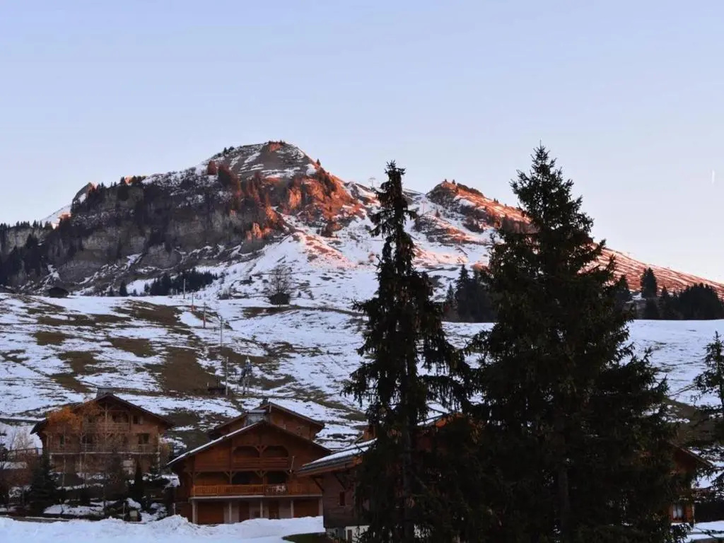 Appartement Le Grand-Bornand, 2 pièces, 6 personnes - FR-1-241-188