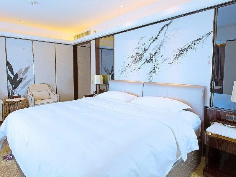 Presidential Elegant Healthcare Hotel