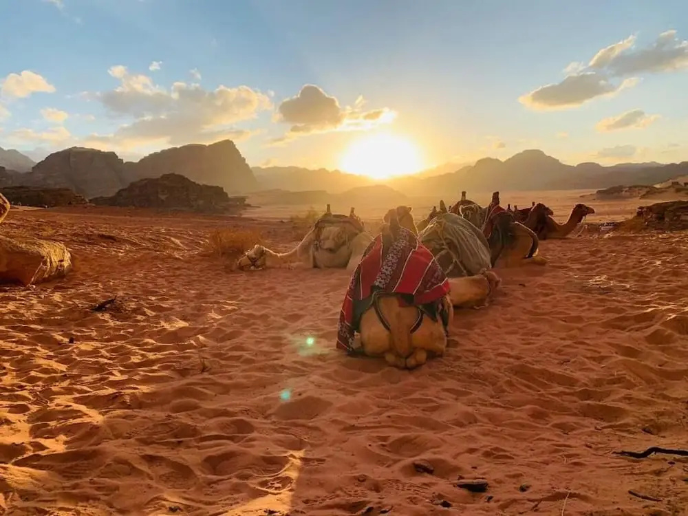 Hasan Zawaideh luxury camp 2